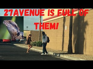 lot lizard hunt day time