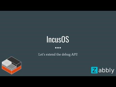 IncusOS - Let's extend the debug API
