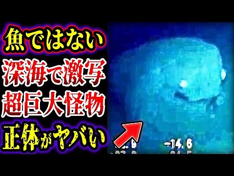 【ゆっくり解説】深海調査隊が恐怖…水中カメラが捉えた深海の超巨大怪物…深海の秘境に現れた未知の化け物たちがヤバい【巨大生物】【総集編】