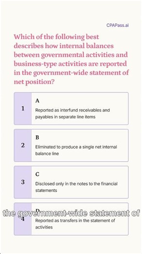BAR CPA Exam: Internal Balance Elimination in Government-Wide Financial Statements