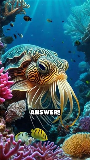 Cuttlefish Color Change: Quiz Challenge!