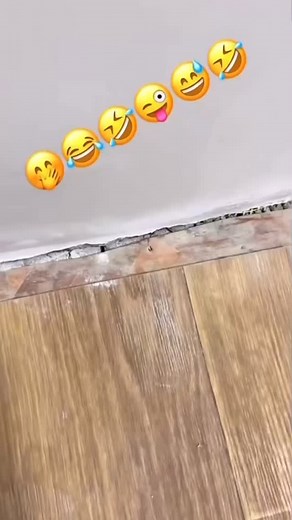 1.4K views · 43 reactions | Home inspection #homeinspection #homeinspector #homeinspectiontips #realestateinspection #homemaintenance #renovation | USA Inspection | Facebook