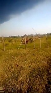 34K views · 230 reactions | #DUCTO #EXPLOSIÓN #PEMEX | ⚠ ️ La tarde...