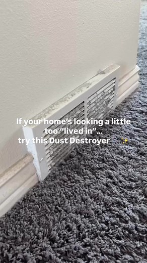 DIY Dust Destroyer: Keep Your Home Spotless