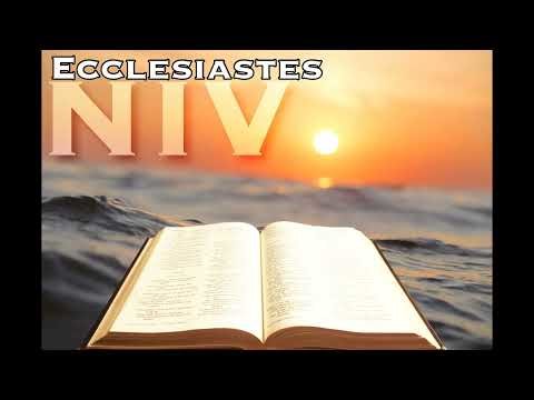 Ecclesiastes NIV Dramatized Holy Bible Audiobook - New International Version