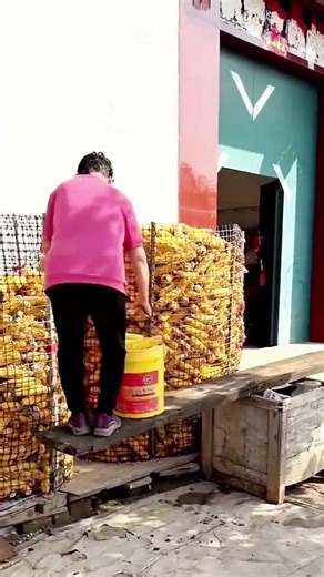 Smart DIY Corn Storage System for Better Airflow and Preservation