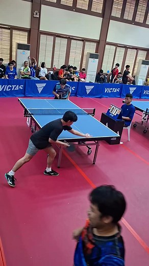 Nittaku Table Tennis Racket & Balls