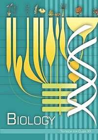 NCERT solutions for Biology [English] Class 12 chapter 6 - Molecular Basis of Inheritance [Latest edition] | Shaalaa.com
