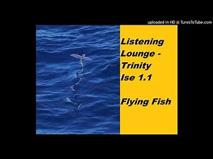 Listening Lounge - Trinity Ise 1.1 Flying Fish