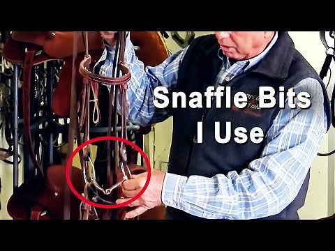 Snaffle Bits For Training Colts, Reining, Cutting & Cow Horses
