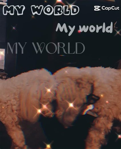 awwww don't they just look made for each other (◍•ᴗ•◍)❤︎