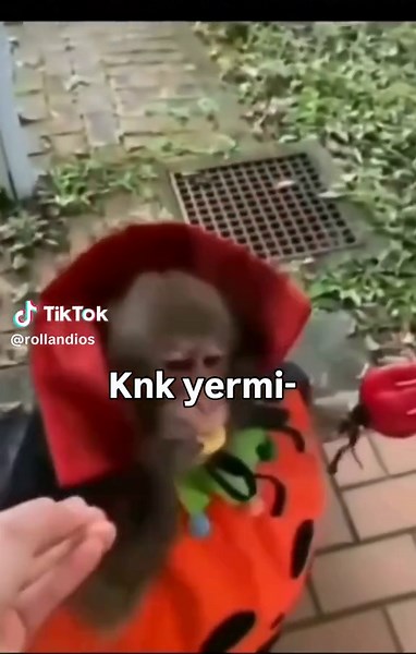 Arkadaşla Yemek Keyfi