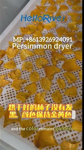 Industrial Heat Pump Persimmon Drying Room - For Global Commercial Kaki Production