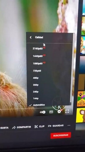 USING WINDOWS 10 WITH 1GB OF RAM 🔥