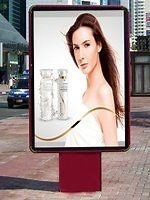 [Hot Item] Outdoor Waterproof Alluminum LED Scrolling Light Box