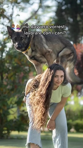 German Shepherd Interactions: A Heartwarming Bond