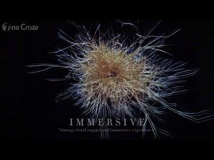 Discover the Magic: A Multisensory Immersive Room Experience