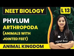 Phylum - Arthropoda (Animals With Jointed Feet) | Animal Kingdom - L13 | NEET Biology