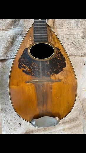 1.9K views · 45 reactions | Before and after: Bruno 12-string mandolin (mandriola). #thebluegrassshack #mandriola #mandolin | The Bluegrass Shack | Facebook