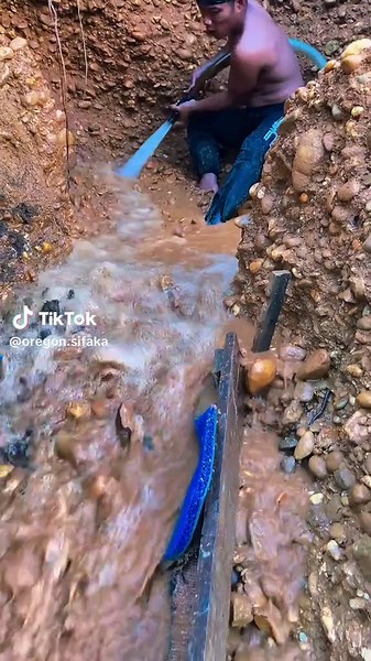 Video của Oregon Sifaka (@oregon.sifaka) với bản nhạc original sound - Oregon Sifaka