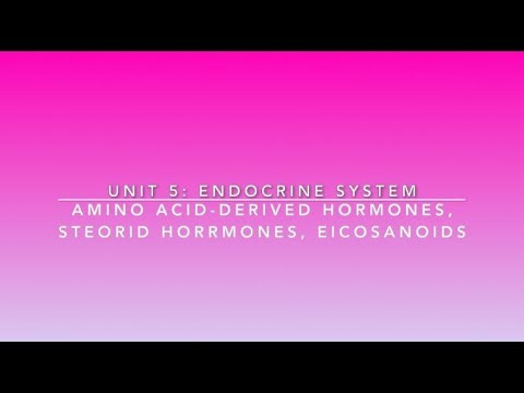 Amino Acid-Derived Hormones, Steroid Hormones, and Eicosanoids | Lime the Tutor | Premed A&P