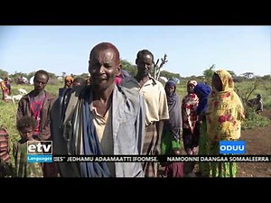 Oduu Afaan Oromoo |etv