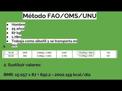 Cálculo del gasto energético para adultos: FAO/OMS/UNU y IOM