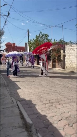 El compa pollo! | Tony SonideroTv