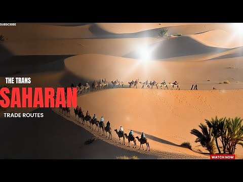 The Trans-Saharan Trade Routes: Gold, Salt, and Empire | Africa’s Forgotten Global Powerhouse