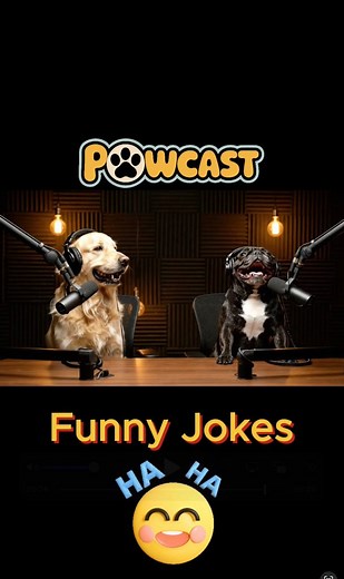 612K views · 9.5K reactions | Funny Jokes! 藍 #doglover #jokes #funnydogs #dogs #comedy | Pawcast11 | Facebook