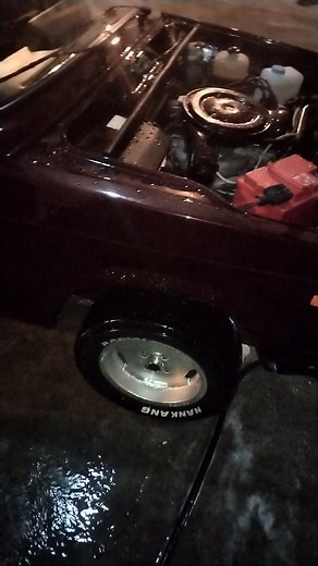 Intensive Cleaning of a Car Engine Bay