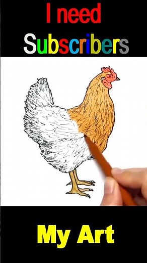 Create a Realistic Chicken Drawing || My Art