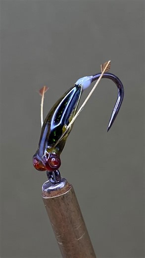 Wes Penny - Lake Cowichan, BC on Instagram: "Boatman flights are definitely right place right time scenarios. But if you happen to hit it, it can be the most fun with trout smashing boatman as they enter the water and zig zag for the bottom like they’re on meth. Floating patterns with a sink line tend to mimic the diving action the best and are the preferred pattern. But a sinking pattern stripped erratically can also be effective. The rule of thumb up here for having a chance was always the fir