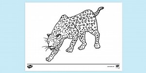 African Leopard Colouring Sheet
