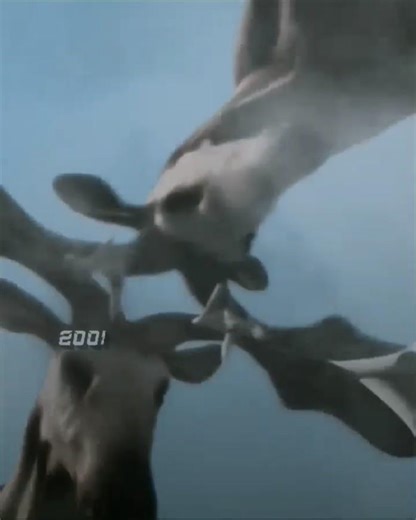 Evolution of paleontology