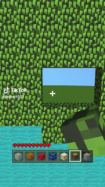 Pooping TikTok #gorilla #funny #fyp #minecraft