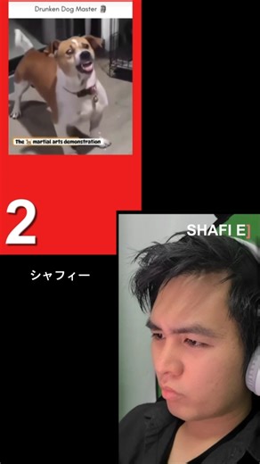 Angry face challenge | Drunk dog