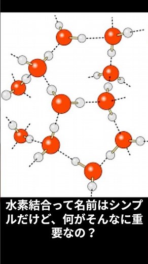 787_水素結合って名前はシンプルだけど、何がそんなに重要なの？