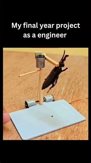 my final year project as engineers easy science Experiment 👨‍🔬 #physics​ #neetphysics​ #physicsfun​