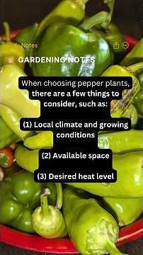 Pepper Planting Tips | New Garden Planning Series | Zone 6B
