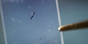 2-D Molybdenum Disulfide Shows Piezoelectric Properties