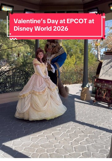 Celebrating Valentine’s Day at Disney World: A Magical Experience