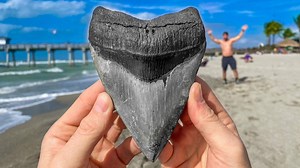 226K views · 195 shares | Don't miss what we find next! Subscribe for...