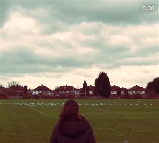 Hanako Adams アダムスハナコ | Happy New Year! Here I come 2026. | Instagram