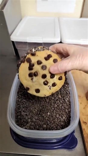 288_Monster cookie ice cream sandwich #vanilla #softserve #icecream #joesdairybar #joesdairybarandgrill #yum #cookiesoftiktok #icecre | Freddie
