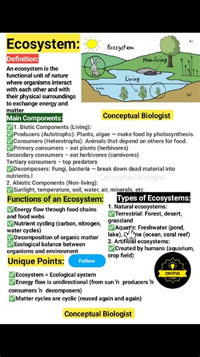 Ecosystem 🔥🔥 #ScienceExplained | Conceptual Biologist