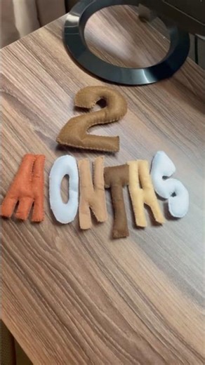 DIY Felt Baby Props | Handmade for 2-Month-Old Photoshoot #short