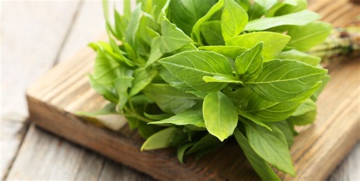 My Secret For Storing Herbs So You Can Stop Buying Them Every Other Day