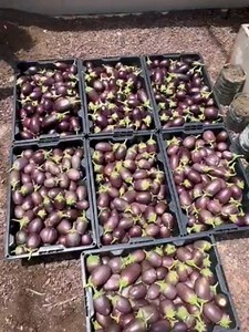 Angola News on Reels