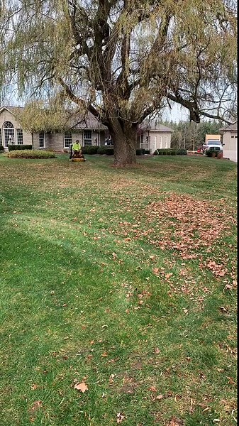 Lawn Mowing Like a Pro – Watch These Skills!